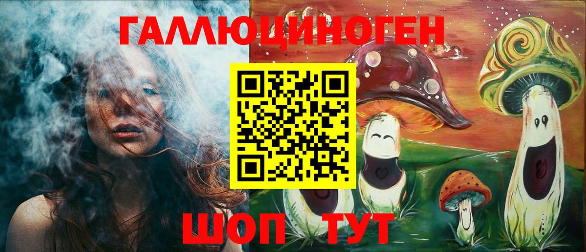 Псилоцибиновые грибы Psilocybe Калуга